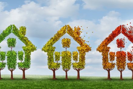 Lower Immigration Numbers Hurting Housing Market