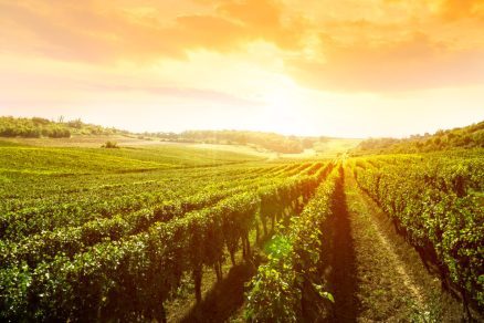 Agricultural Organizations Welcome Recent Proposals for Immigration Reform