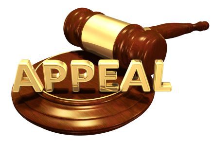 The US Supreme Court’s Decision in Mata v. Lynch