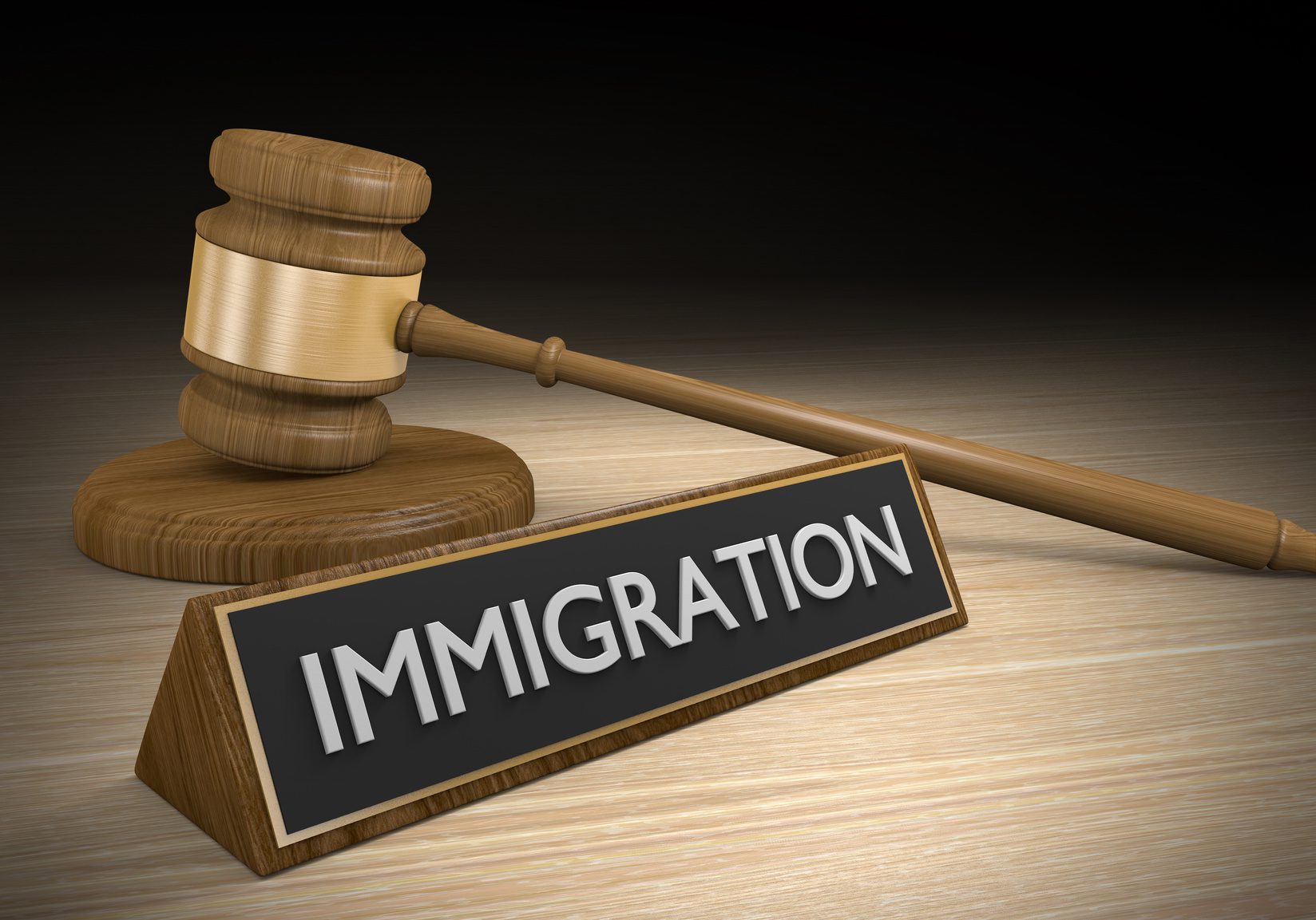 Political Influence on Immigration Courts