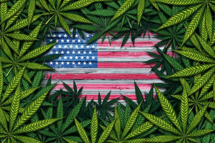 MARIJUANA FOR NON-CITIZENS: IT IS NOT WORTH THE RISK