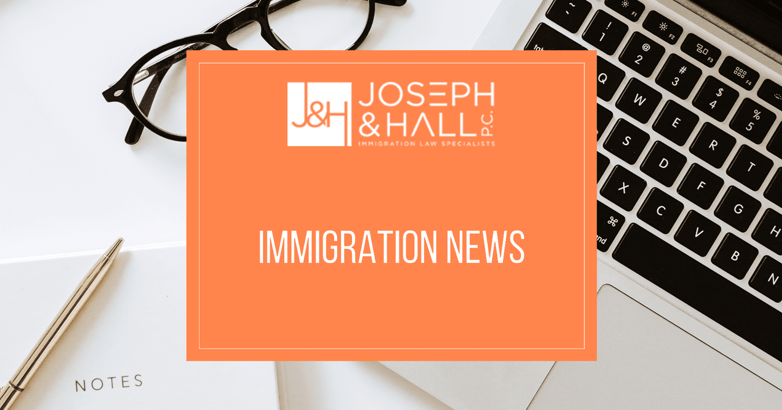 Immigration Litigation Update