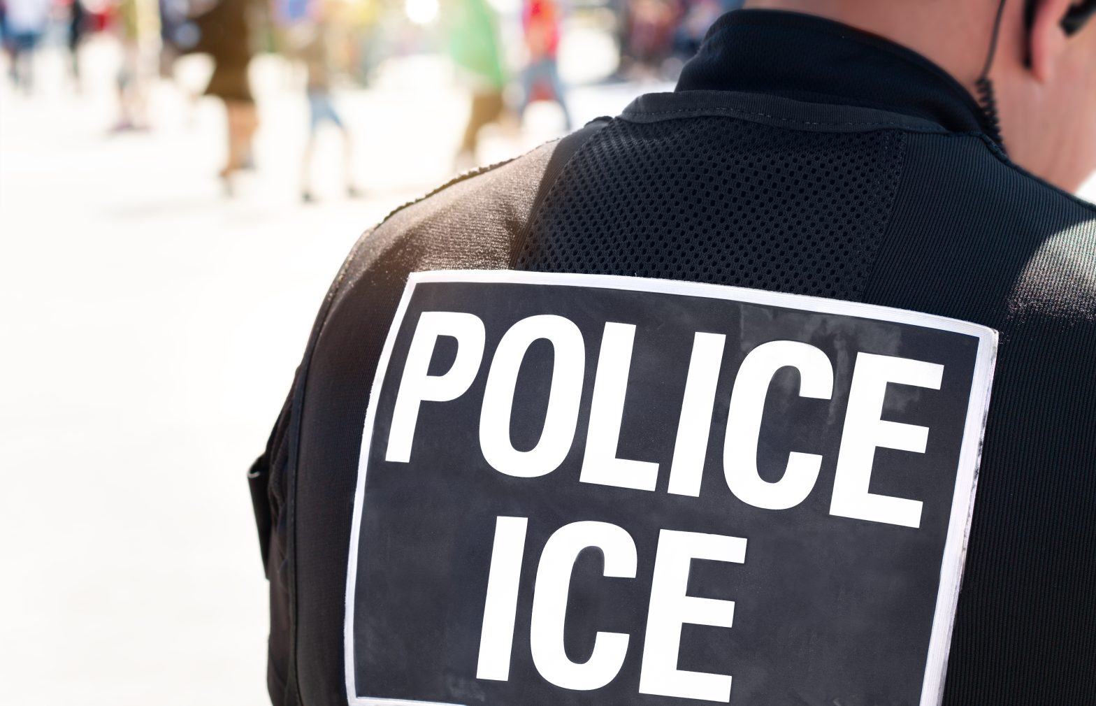 Reshaping the Landscape of Immigration Court